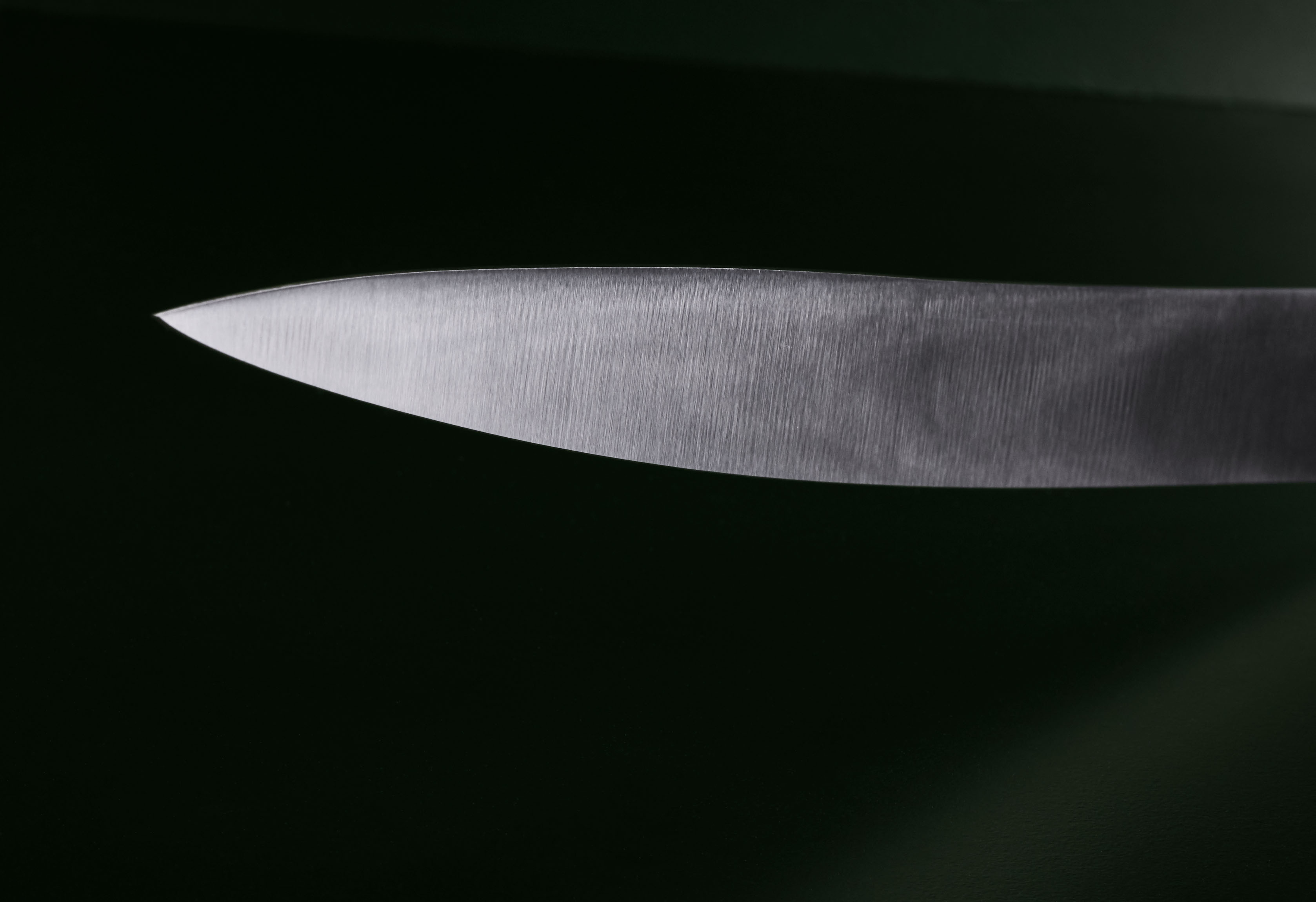 Koch- und Filiermesser 22,5cm Pflaume rostfrei