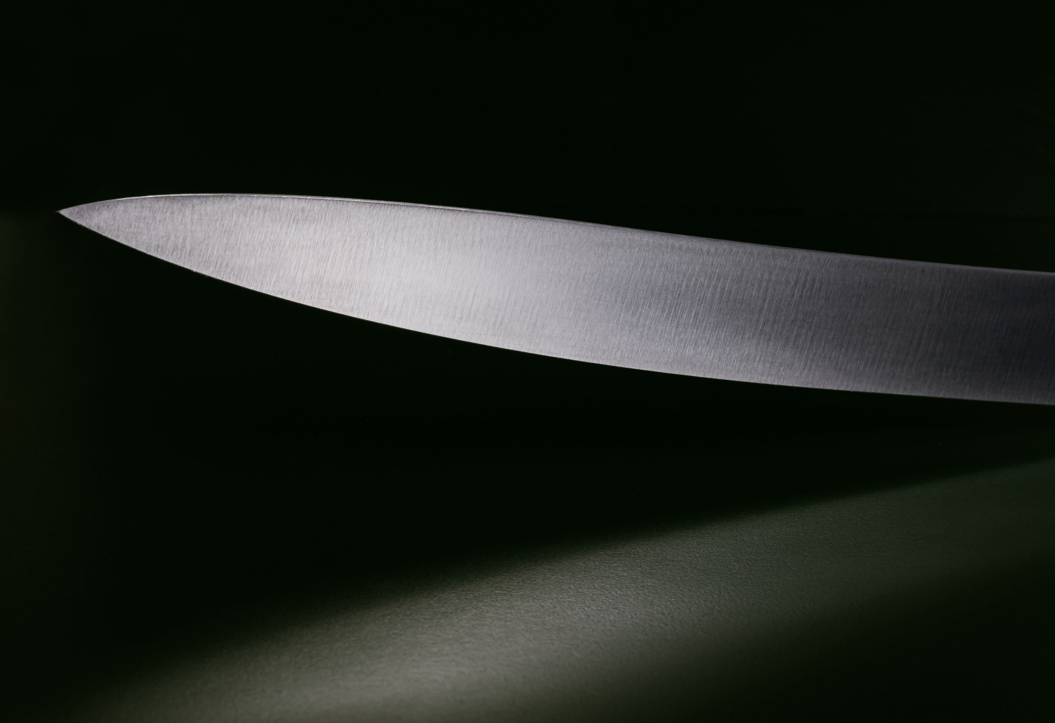 Koch- und Filiermesser 22,5cm Marille rostfrei