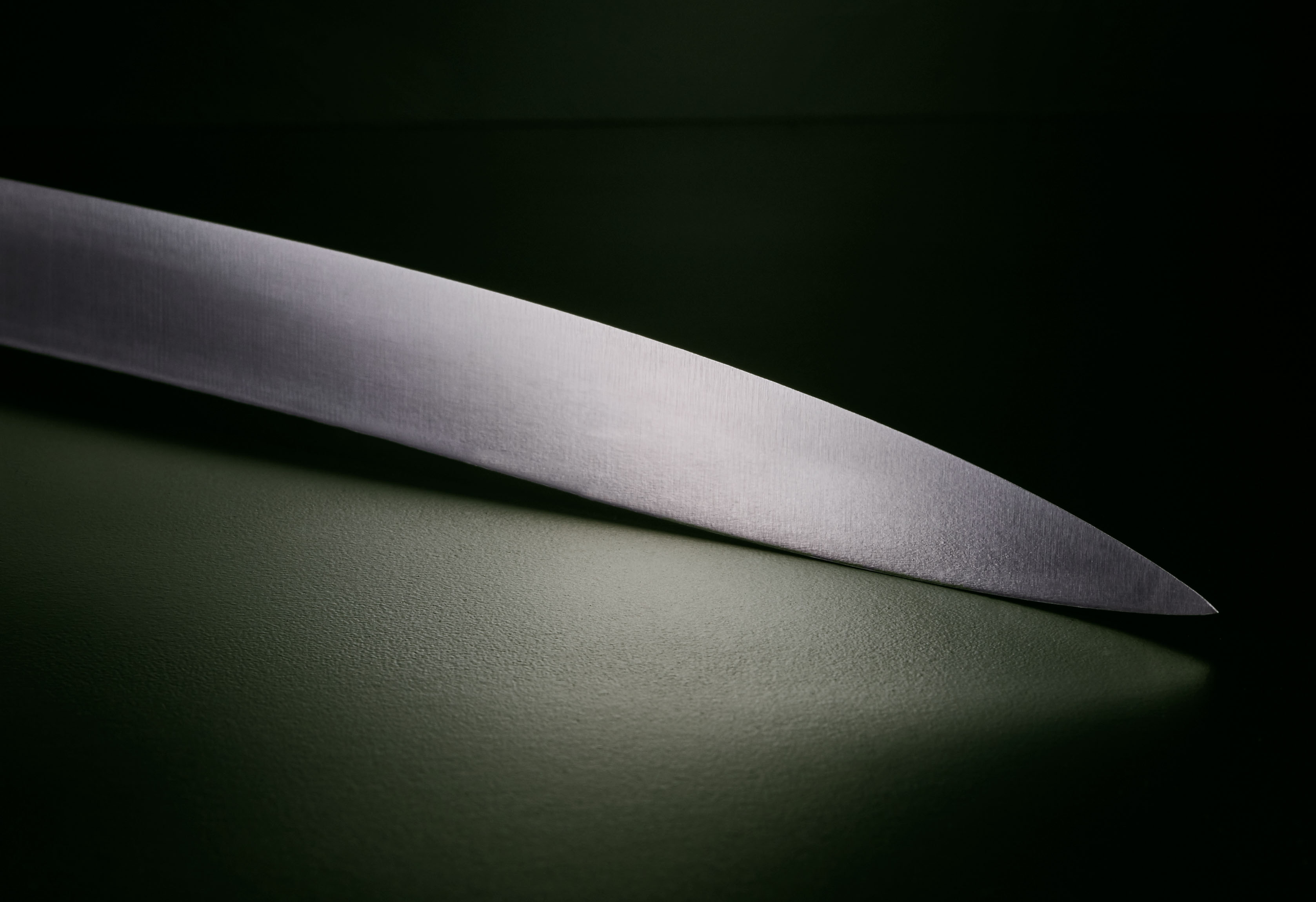 Koch- und Filiermesser 22,5cm Pflaume rostfrei