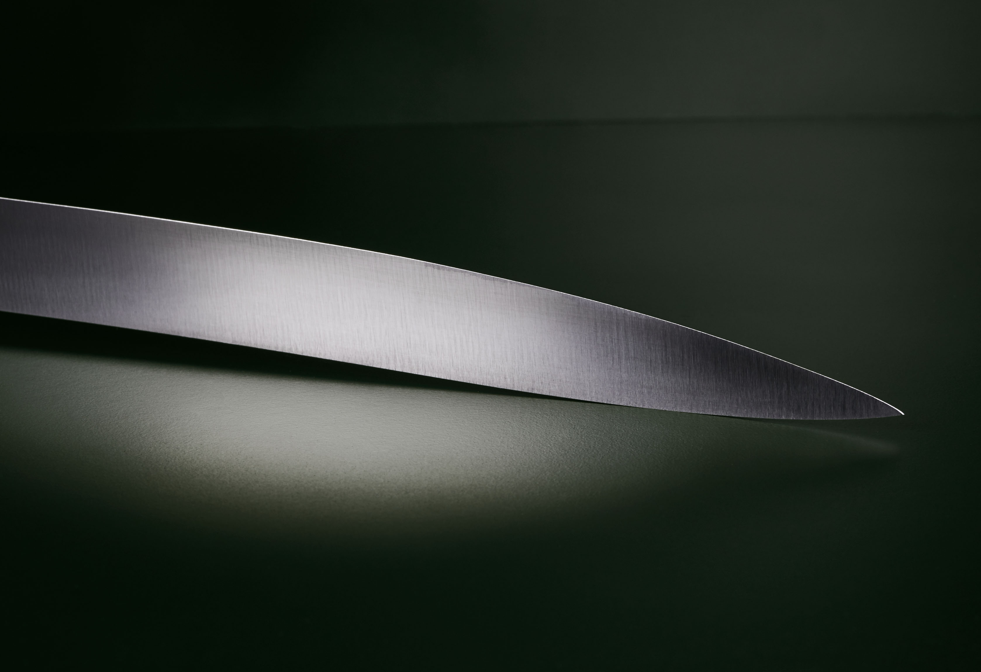 Koch- und Filiermesser 22,5cm Pflaume carbon